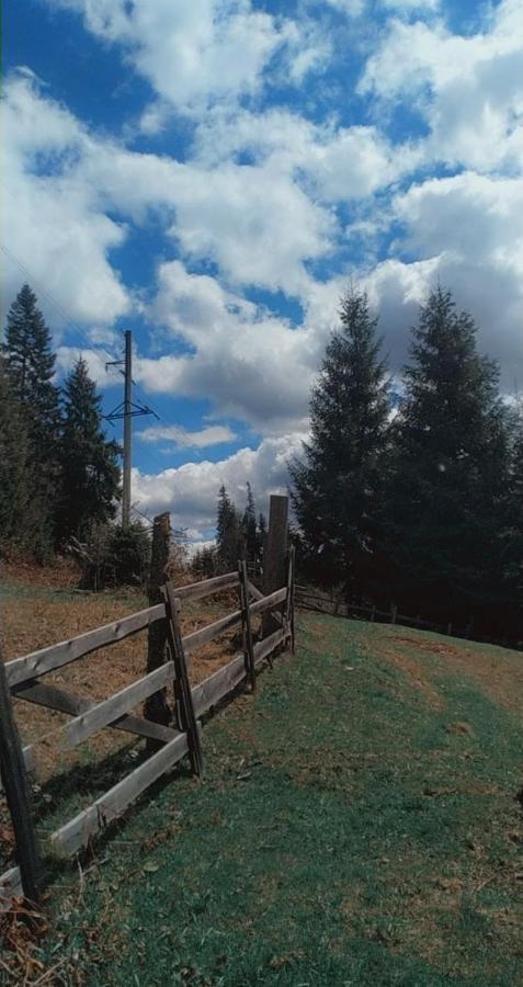 Садиба У Пані Марії Vorokhta Exterior foto