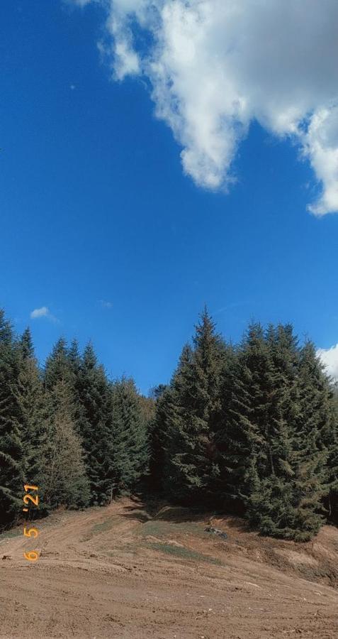 Садиба У Пані Марії Vorokhta Exterior foto
